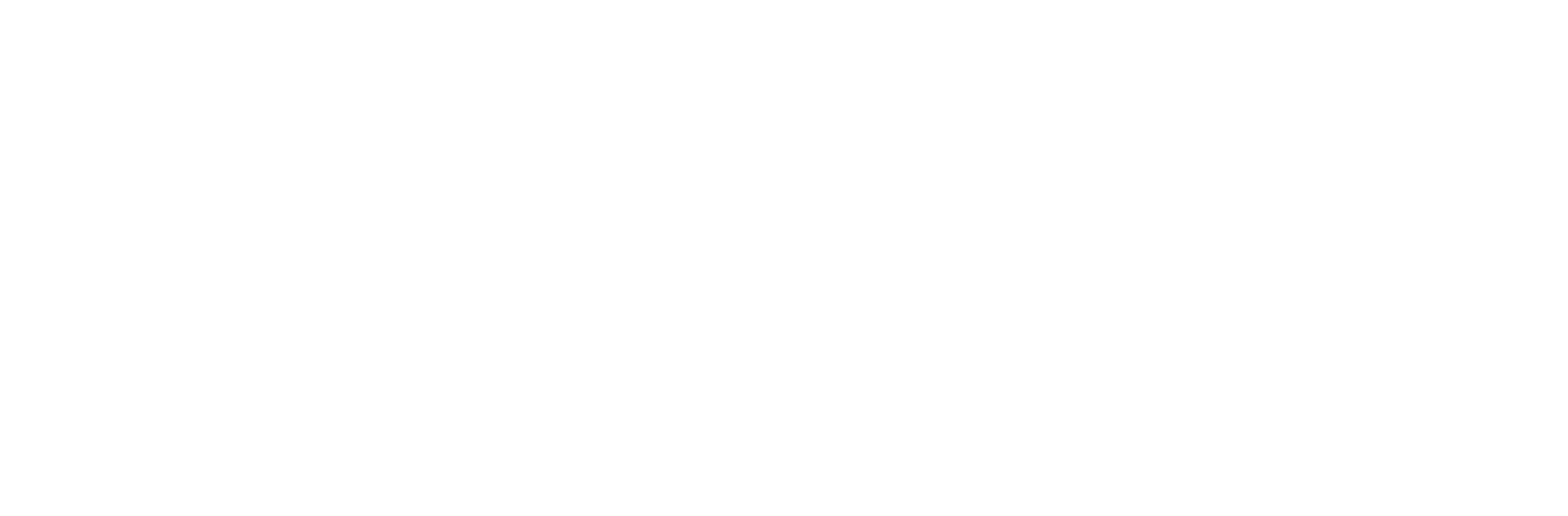 Strategic People Solutions HR Consultant